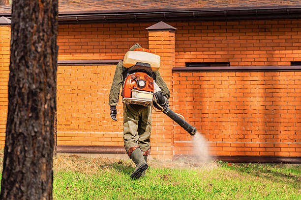 Trusted Bed Bug Control service in Lake Hopatcong, NJ - Nex Pest Control